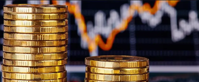 Financial Sector